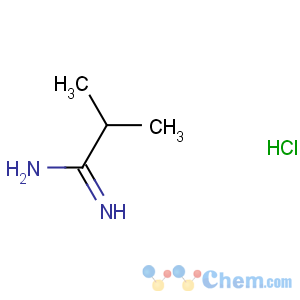 CAS No:22007-68-7 2-methylpropanimidamide