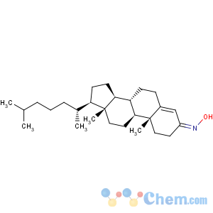 CAS No:22033-87-0 Olesoxime