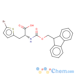 CAS No:220497-83-6 2-Thiophenepropanoicacid, 5-bromo-a-[[(9H-fluoren-9-ylmethoxy)carbonyl]amino]-,(aR)-