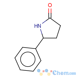 CAS No:22050-10-8 2-Pyrrolidinone,5-phenyl-