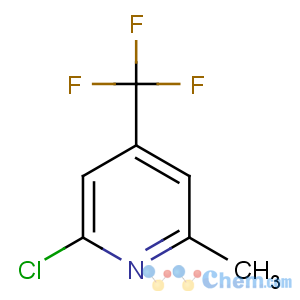 CAS No:22123-14-4 2-chloro-6-methyl-4-(trifluoromethyl)pyridine