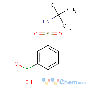 CAS No:221290-14-8 [3-(tert-butylsulfamoyl)phenyl]boronic acid