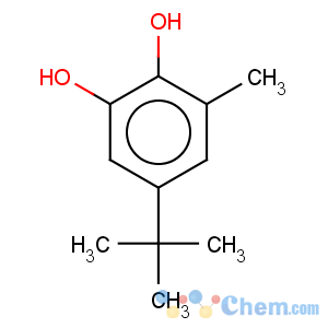 CAS No:2213-66-3 1,2-Benzenediol,5-(1,1-dimethylethyl)-3-methyl-