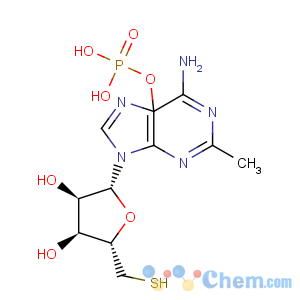 CAS No:22140-20-1 5'-Adenylic acid,2-(methylthio)-