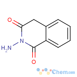 CAS No:22177-46-4 1,3(2H,4H)-Isoquinolinedione,2-amino-
