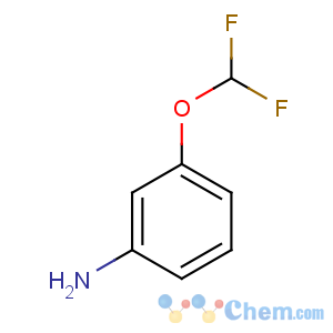 CAS No:22236-08-4 3-(difluoromethoxy)aniline