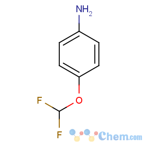 CAS No:22236-10-8 4-(difluoromethoxy)aniline