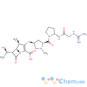 CAS No:222400-20-6 1-Azabicyclo[3.2.0]hept-2-ene-2-carboxylicacid,3-[[(3S,5S)-5-[[(3S)-3-[[2-[(aminoiminomethyl)amino]acetyl]amino]-1-pyrrolidinyl]carbonyl]-1-methyl-3-pyrrolidinyl]thio]-6-[(1R)-1-hydroxyethyl]-4-methyl-7-oxo-,(4R,5S,6S)-