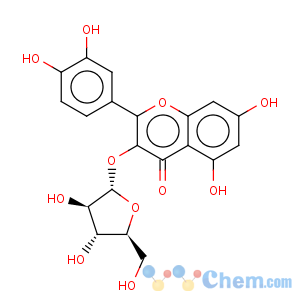 CAS No:22255-13-6 4H-1-Benzopyran-4-one,3-(a-L-arabinopyranosyloxy)-2-(3,4-dihydroxyphenyl)-5,7-dihydroxy-