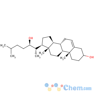CAS No:22348-64-7 22(S)-Hydroxycholesterol
