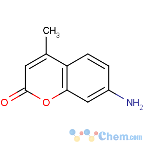 CAS No:224568-66-5 7-amino-4-methylchromen-2-one