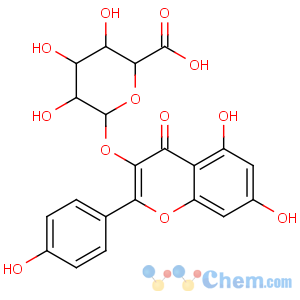 CAS No:22688-78-4 (2S,3S,4S,5R,6S)-6-[5,<br />7-dihydroxy-2-(4-hydroxyphenyl)-4-oxochromen-3-yl]oxy-3,4,<br />5-trihydroxyoxane-2-carboxylic acid