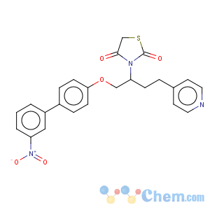 CAS No:227088-94-0 2,4-Thiazolidinedione,3-[1-[[(3'-nitro[1,1'-biphenyl]-4-yl)oxy]methyl]-3-(4-pyridinyl)propyl]-