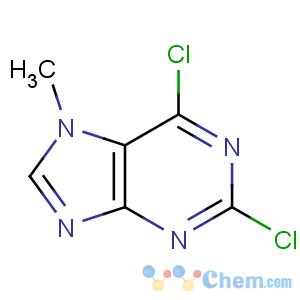 CAS No:2273-93-0 2,6-dichloro-7-methylpurine