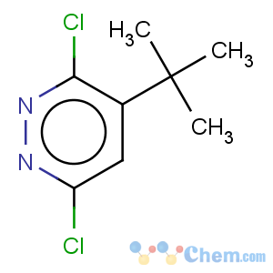 CAS No:22808-29-3 Pyridazine,3,6-dichloro-4-(1,1-dimethylethyl)-