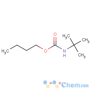 CAS No:22815-64-1 Carbamic acid,N-(1,1-dimethylethyl)-, butyl ester