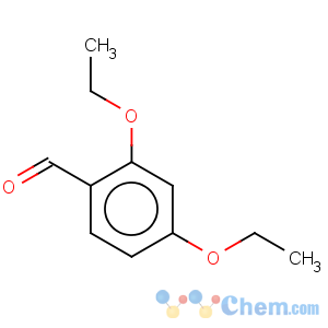 CAS No:22924-16-9 Benzaldehyde,2,4-diethoxy-