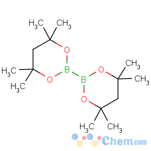 CAS No:230299-46-4 4,4,6,6-tetramethyl-2-(4,4,6,6-tetramethyl-1,3,2-dioxaborinan-2-yl)-1,3,<br />2-dioxaborinane