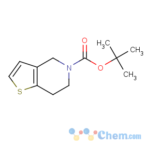 CAS No:230301-73-2 tert-butyl 6,7-dihydro-4H-thieno[3,2-c]pyridine-5-carboxylate