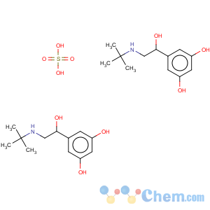 CAS No:23031-32-5 Terbutaline hemisulfate