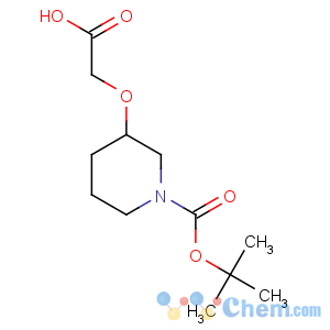 CAS No:231622-09-6 3-carboxymethoxy-piperidine-1-carboxylic acid tert-butyl ester