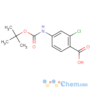CAS No:232275-73-9 2-chloro-4-[(2-methylpropan-2-yl)oxycarbonylamino]benzoic acid