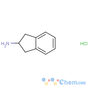 CAS No:2338-18-3 2,3-dihydro-1H-inden-2-amine