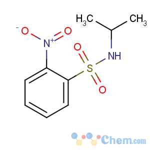 CAS No:23530-42-9 2-nitro-N-propan-2-ylbenzenesulfonamide