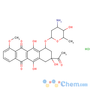 CAS No:23541-50-6 Daunorubicin hydrochloride