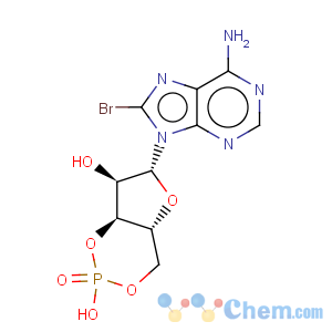 CAS No:23583-48-4 Adenosine, 8-bromo-,cyclic 3',5'-(hydrogen phosphate)