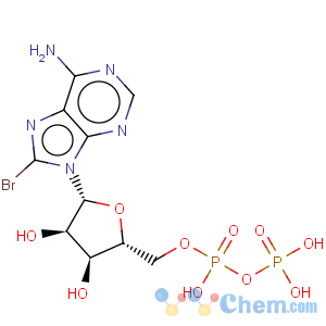 CAS No:23600-16-0 8-bromoadenosine 5'-diphosphate