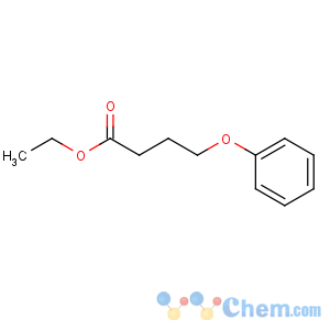 CAS No:2364-59-2 ethyl 4-phenoxybutanoate