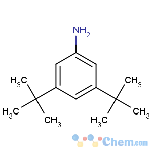 CAS No:2380-36-1 3,5-ditert-butylaniline