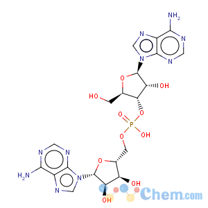CAS No:2391-46-0 Adenosine, adenylyl-(3'®