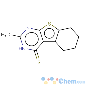 CAS No:23922-04-5 2-methyl-3,4,5,6,7,8-hexahydrobenzo[4,5]thieno[2,3-d]pyrimidine-4-thione