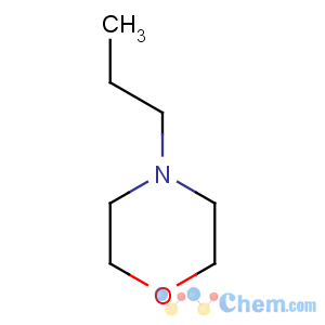 CAS No:23949-50-0 4-propylmorpholine