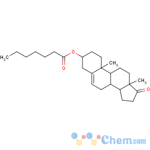 CAS No:23983-43-9 Androst-5-en-17-one,3-[(1-oxoheptyl)oxy]-, (3b)-