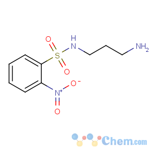 CAS No:240423-09-0 N-(3-aminopropyl)-2-nitrobenzenesulfonamide