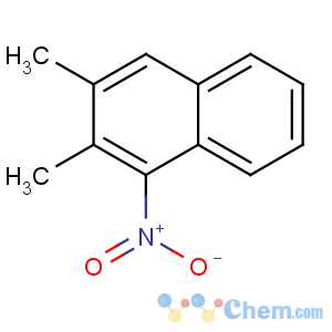 CAS No:24055-46-7 2,3-dimethyl-1-nitronaphthalene