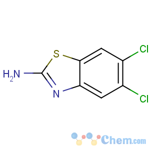 CAS No:24072-75-1 5,6-dichloro-1,3-benzothiazol-2-amine