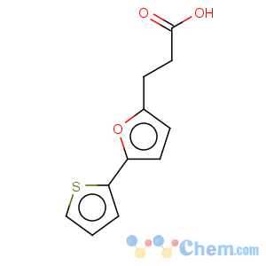CAS No:24090-38-8 2-Furanpropanoic acid,5-(2-thienyl)-