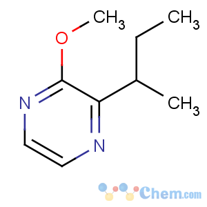 CAS No:24168-70-5 2-butan-2-yl-3-methoxypyrazine