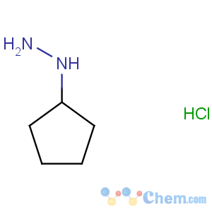 CAS No:24214-72-0 cyclopentylhydrazine