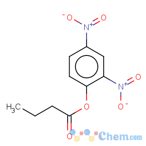 CAS No:24273-19-6 Butanoic acid,2,4-dinitrophenyl ester