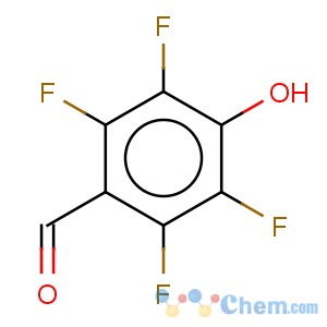 CAS No:24336-73-0 2,3,5,6-Tetrafluoro-4-hydroxy-benzaldehyde