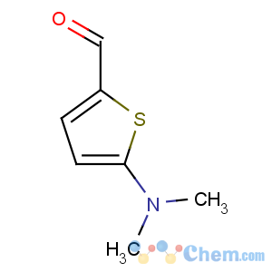 CAS No:24372-46-1 5-(dimethylamino)thiophene-2-carbaldehyde