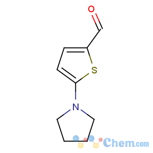 CAS No:24372-47-2 5-pyrrolidin-1-ylthiophene-2-carbaldehyde