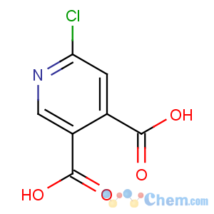 CAS No:243835-70-3 6-chloropyridine-3,4-dicarboxylic acid