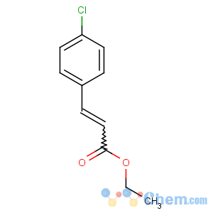 CAS No:24393-52-0 ethyl (E)-3-(4-chlorophenyl)prop-2-enoate