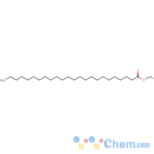 CAS No:2442-49-1 methyl tetracosanoate